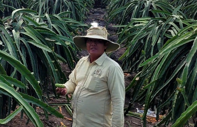  Minh Đảm.