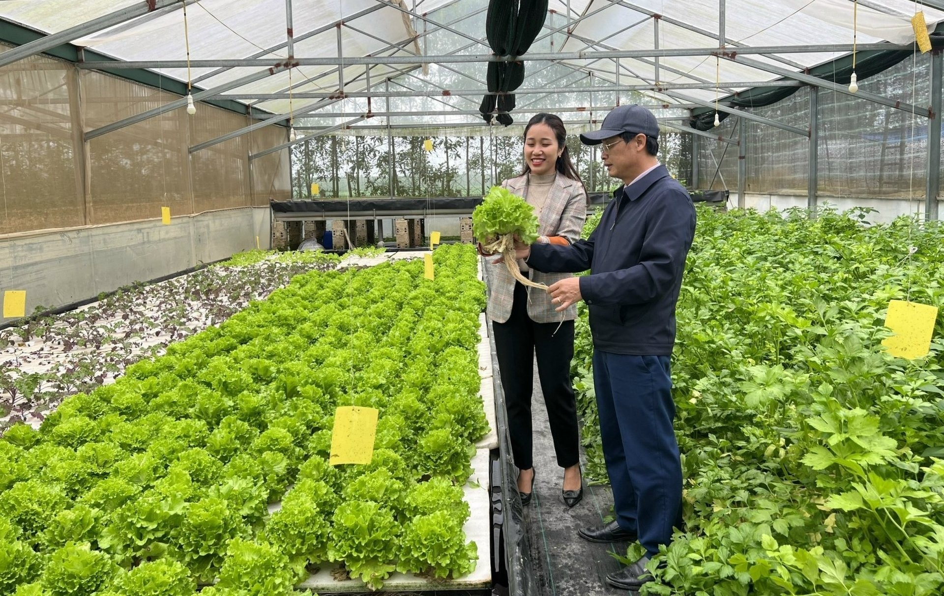 HTX nông nghiệp từng bước được xem là cấu phần quan trọng của nền kinh tế tư nhân ở nông thôn. Ảnh: HTX Vfresh Garden. HTX nông nghiệp từng bước được xem là cấu phần quan trọng của nền kinh tế tư nhân ở nông thôn. Ảnh: HTX Vfresh Garden.