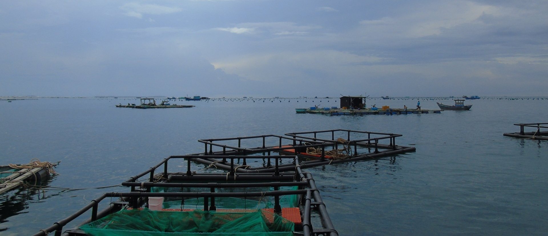Nuôi biển những năm qua đã có bước phát triển mạnh ở Ninh Thuận (cũ). Ảnh: Nguyễn Cơ. Nuôi biển những năm qua đã có bước phát triển mạnh ở Ninh Thuận (cũ). Ảnh: Nguyễn Cơ.