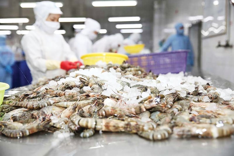 Đầu tháng 5, ngành tôm Việt Nam ghi nhận nhiều tín hiệu tích cực. Ảnh: Vasep.