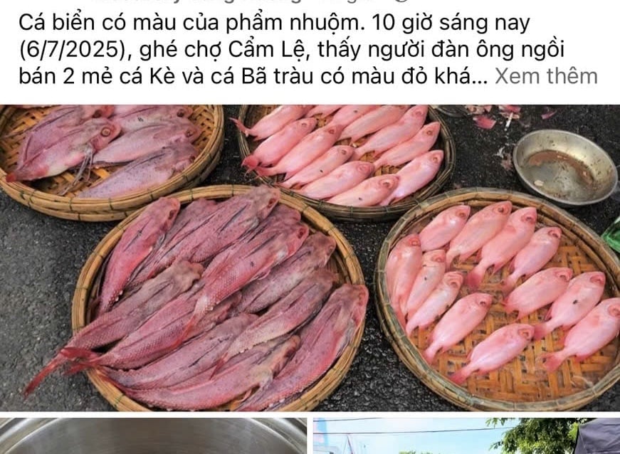 Phản ánh của người dân trên mạng xã hội về 'cá biển đổi màu' mua tại chợ Cẩm Lệ. Ảnh: Chụp màn hình FB. Phản ánh của người dân trên mạng xã hội về 'cá biển đổi màu' mua tại chợ Cẩm Lệ. Ảnh: Chụp màn hình FB.
