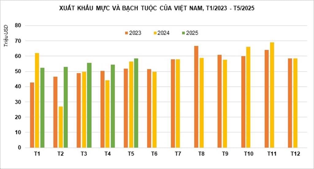 Xuất khẩu mực và bạch tuộc của Việt Nam. Ảnh: Vasep. Xuất khẩu mực và bạch tuộc của Việt Nam. Ảnh: Vasep.
