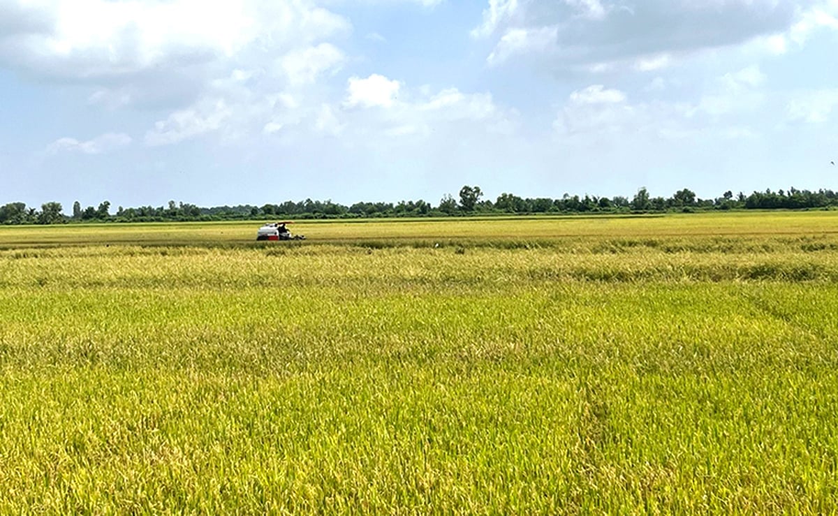 Hà Nội phân cấp quản lý đất đai, nông nghiệp và môi trường. Ảnh minh họa. Hà Nội phân cấp quản lý đất đai, nông nghiệp và môi trường. Ảnh minh họa.