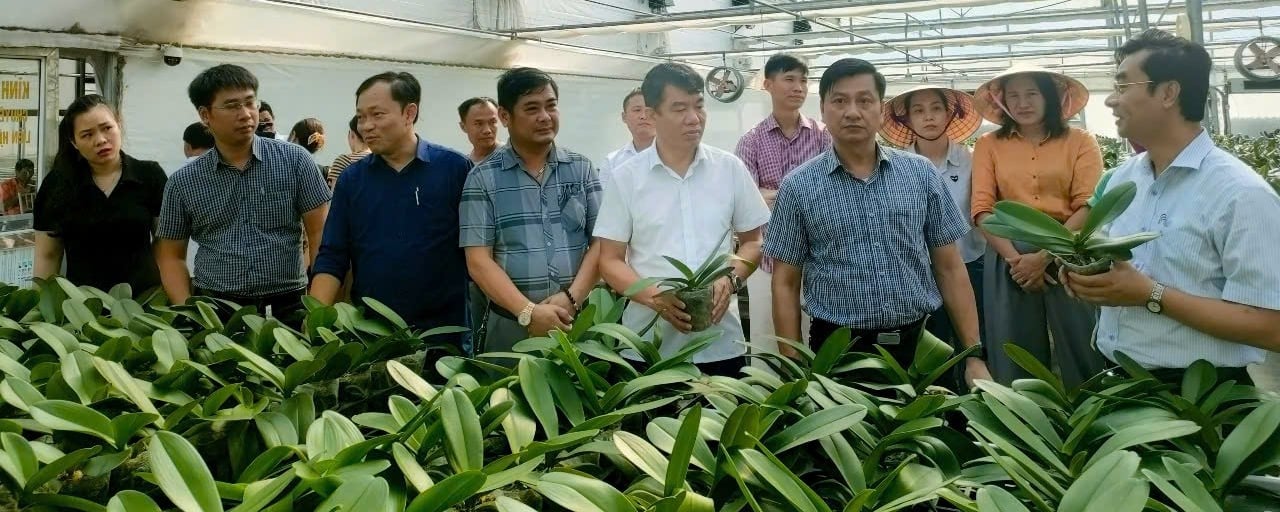 Mô hình trồng hoa lan hồ điệp công nghệ cao của ông Huy mở ra triển vọng nhân rộng tại Hà Tĩnh. Ảnh: Hà Trần. Mô hình trồng hoa lan hồ điệp công nghệ cao của ông Huy mở ra triển vọng nhân rộng tại Hà Tĩnh. Ảnh: Hà Trần.