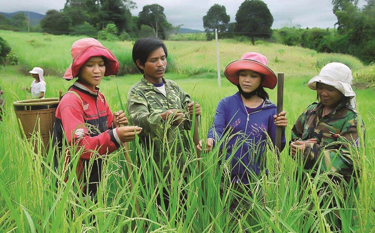 Dự án 5 về hỗ trợ nhà ở cho hộ nghèo, hộ cận nghèo trên địa bàn các huyện nghèo là một trong bảy dự án thành phần thuộc Chương trình mục tiêu quốc gia giảm nghèo bền vững giai đoạn 2021–2025. Ảnh: Tapchitaichinh. Dự án 5 về hỗ trợ nhà ở cho hộ nghèo, hộ cận nghèo trên địa bàn các huyện nghèo là một trong bảy dự án thành phần thuộc Chương trình mục tiêu quốc gia giảm nghèo bền vững giai đoạn 2021–2025. Ảnh: Tapchitaichinh.