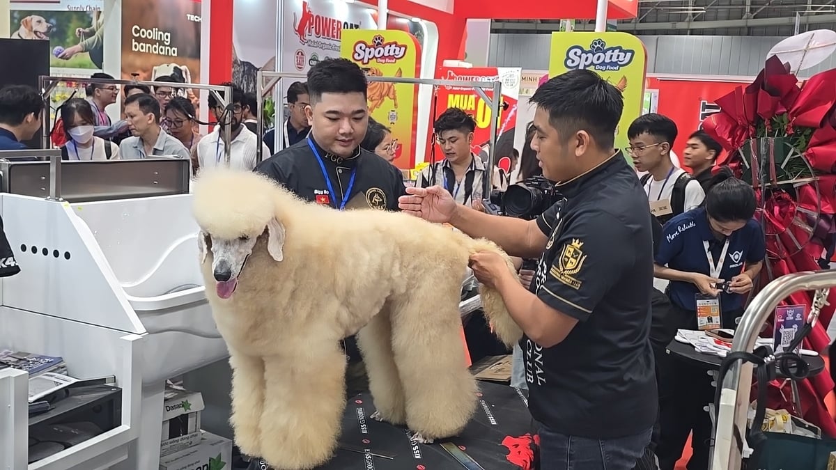 Trào lưu nuôi thú cưng (chó, mèo) đã xuất hiện từ lâu, đặc biệt trong giới trẻ, nhưng ngành công nghiệp thú cưng (dịch vụ chăm sóc, dinh dưỡng, spa, khách sạn thú cưng) mới chỉ thực sự hình thành vài năm trở lại đây. Ảnh: Minh Sáng. Trào lưu nuôi thú cưng (chó, mèo) đã xuất hiện từ lâu, đặc biệt trong giới trẻ, nhưng ngành công nghiệp thú cưng (dịch vụ chăm sóc, dinh dưỡng, spa, khách sạn thú cưng) mới chỉ thực sự hình thành vài năm trở lại đây. Ảnh: Minh Sáng.