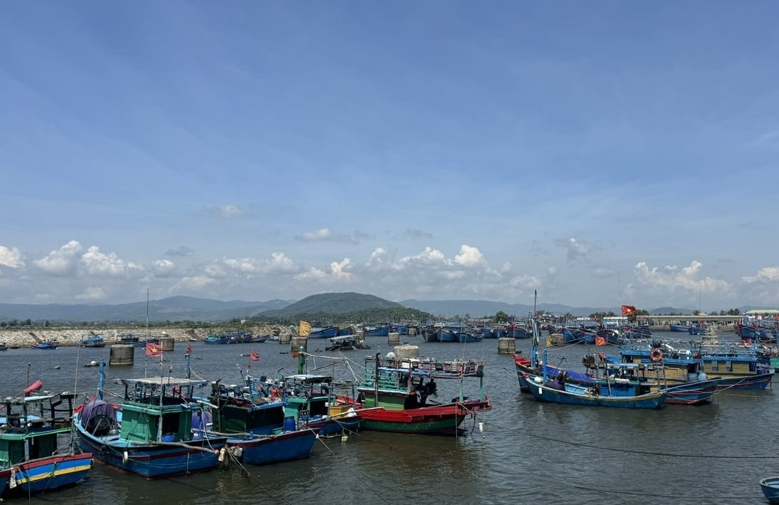 Cảng cá Mỹ Á đang hồi sinh từng ngày. Ảnh: Võ Hà. Cảng cá Mỹ Á đang hồi sinh từng ngày. Ảnh: Võ Hà.