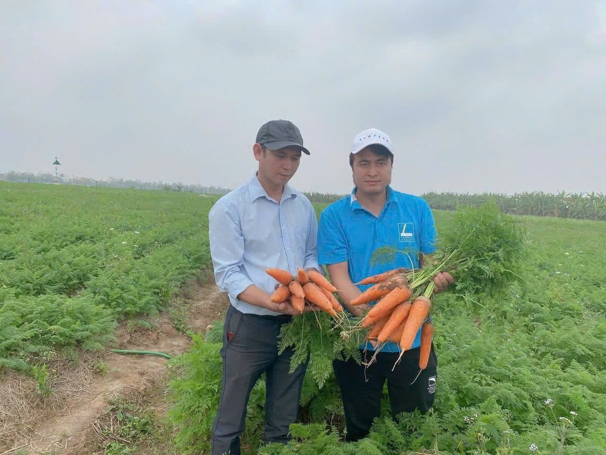 Hải Dương có thể mạnh về trồng trọt, được ví như một trung tâm nông nghiệp công nghệ cao của đồng bằng sông Hồng. Ảnh: Đinh Mười. Hải Dương có thể mạnh về trồng trọt, được ví như một trung tâm nông nghiệp công nghệ cao của đồng bằng sông Hồng. Ảnh: Đinh Mười.