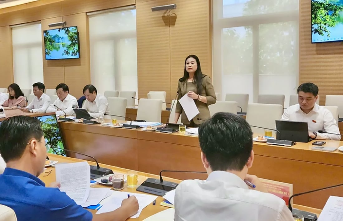 Đại biểu Bạch Liên Hương, Giám đốc Sở Văn hóa Thể thao phát biểu tại buổi thảo luận. Ảnh: Lê Hải. Đại biểu Bạch Liên Hương, Giám đốc Sở Văn hóa Thể thao phát biểu tại buổi thảo luận. Ảnh: Lê Hải.