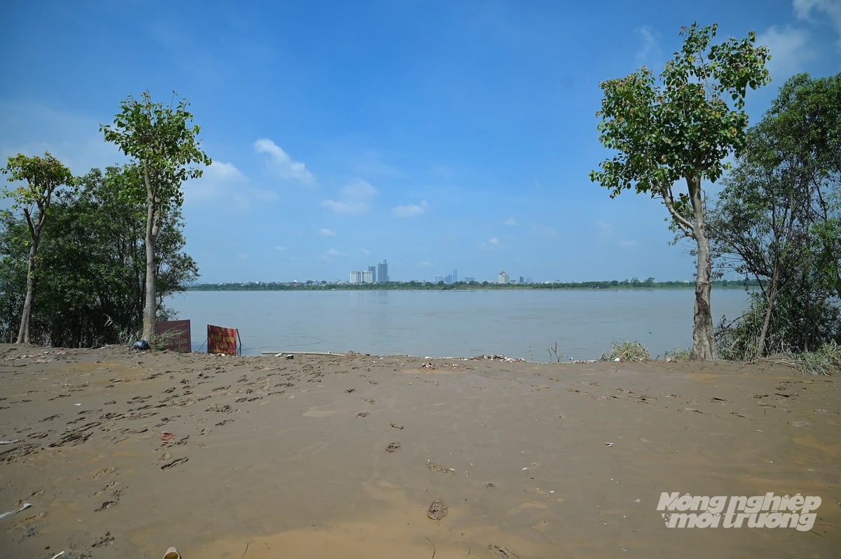 Khu vực xây dựng công trình không phép nằm trọn vẹn trong hành lang thoát lũ sông Hồng, kéo dài tới sát ngấn nước sông. Ảnh: Kiên Trung. Khu vực xây dựng công trình không phép nằm trọn vẹn trong hành lang thoát lũ sông Hồng, kéo dài tới sát ngấn nước sông. Ảnh: Kiên Trung.