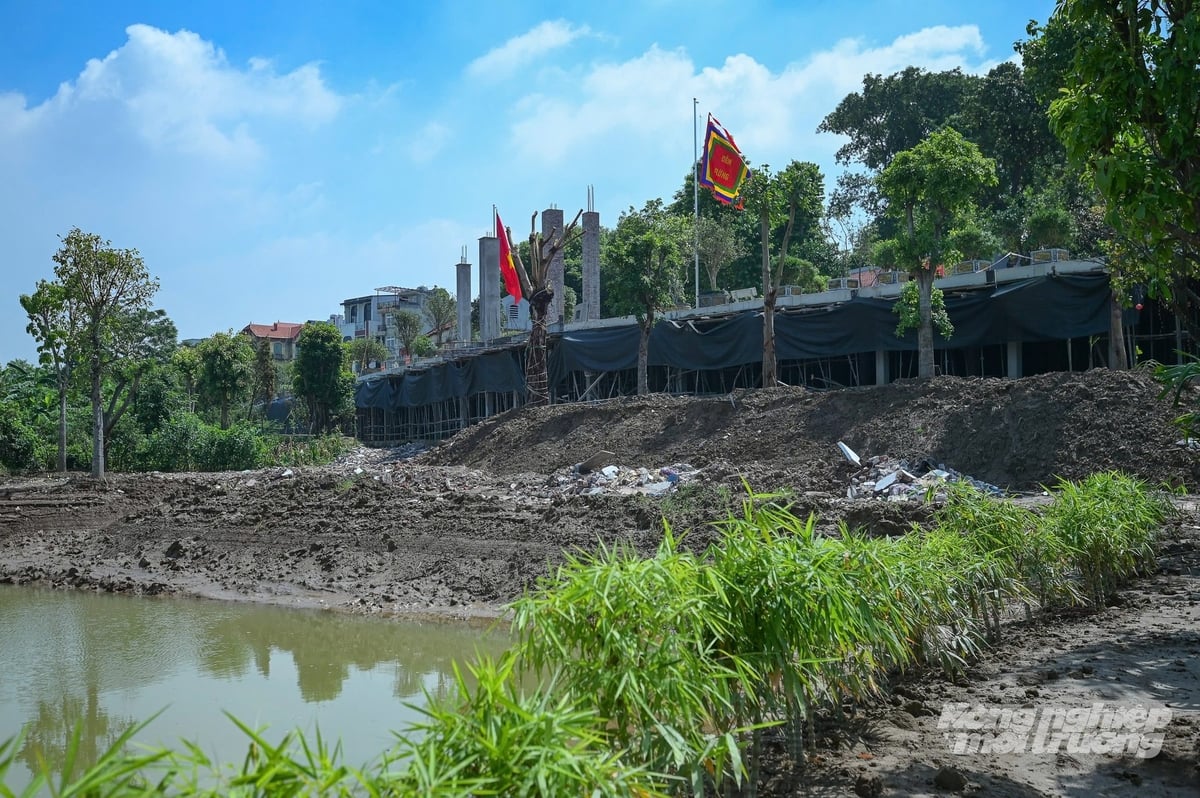 Hà Nội yêu cầu đình chỉ, tháo dỡ công trình sai phạm trên hành lang thoát lũ sông Hồng. Hà Nội yêu cầu đình chỉ, tháo dỡ công trình sai phạm trên hành lang thoát lũ sông Hồng.