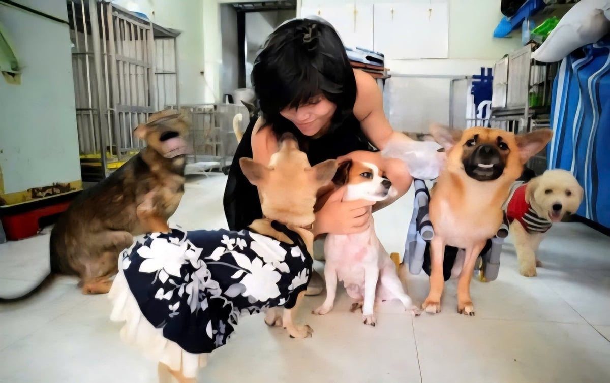 Nuôi thú cưng không còn là 'mốt' thành thị, mà đang lan nhanh về nông thôn, mở ra triển vọng cho ngành công nghiệp thú cưng. Ảnh: Minh Sáng. Nuôi thú cưng không còn là 'mốt' thành thị, mà đang lan nhanh về nông thôn, mở ra triển vọng cho ngành công nghiệp thú cưng. Ảnh: Minh Sáng.