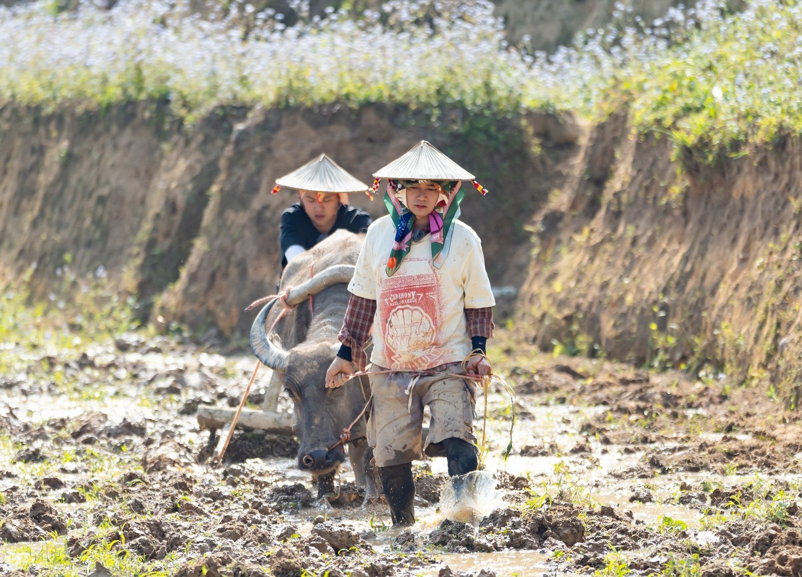 Các nghệ sĩ tham gia góp sức trong việc sáng tạo nội dung, truyền thông và quảng bá nét đẹp văn hóa, con người, đời sống bình yên, xanh sạch của vùng đất Tây Bắc. Các nghệ sĩ tham gia góp sức trong việc sáng tạo nội dung, truyền thông và quảng bá nét đẹp văn hóa, con người, đời sống bình yên, xanh sạch của vùng đất Tây Bắc.