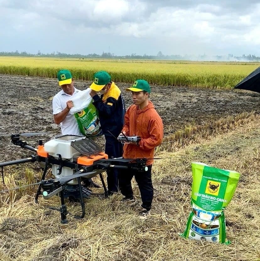 Phân bón Đầu Trâu Bio Canxi giúp cải tạo đất và nâng cao năng suất lúa. Ảnh: Thế Huy. Phân bón Đầu Trâu Bio Canxi giúp cải tạo đất và nâng cao năng suất lúa. Ảnh: Thế Huy.