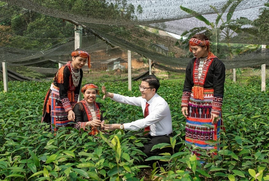 Nhiều chương trình tín dụng ưu đãi được thiết kế riêng cho khu vực doanh nghiệp nông nghiệp. Ảnh: NNMT. Nhiều chương trình tín dụng ưu đãi được thiết kế riêng cho khu vực doanh nghiệp nông nghiệp. Ảnh: NNMT.