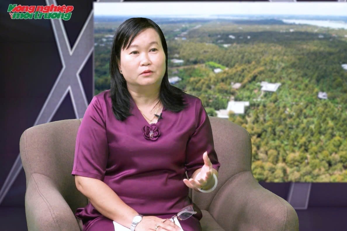 Bà Phạm Thị Minh Hiếu, Chi cục trưởng Chi cục Trồng trọt và Bảo vệ thực vật TP. Cần Thơ. Ảnh: Kim Anh. Bà Phạm Thị Minh Hiếu, Chi cục trưởng Chi cục Trồng trọt và Bảo vệ thực vật TP. Cần Thơ. Ảnh: Kim Anh.