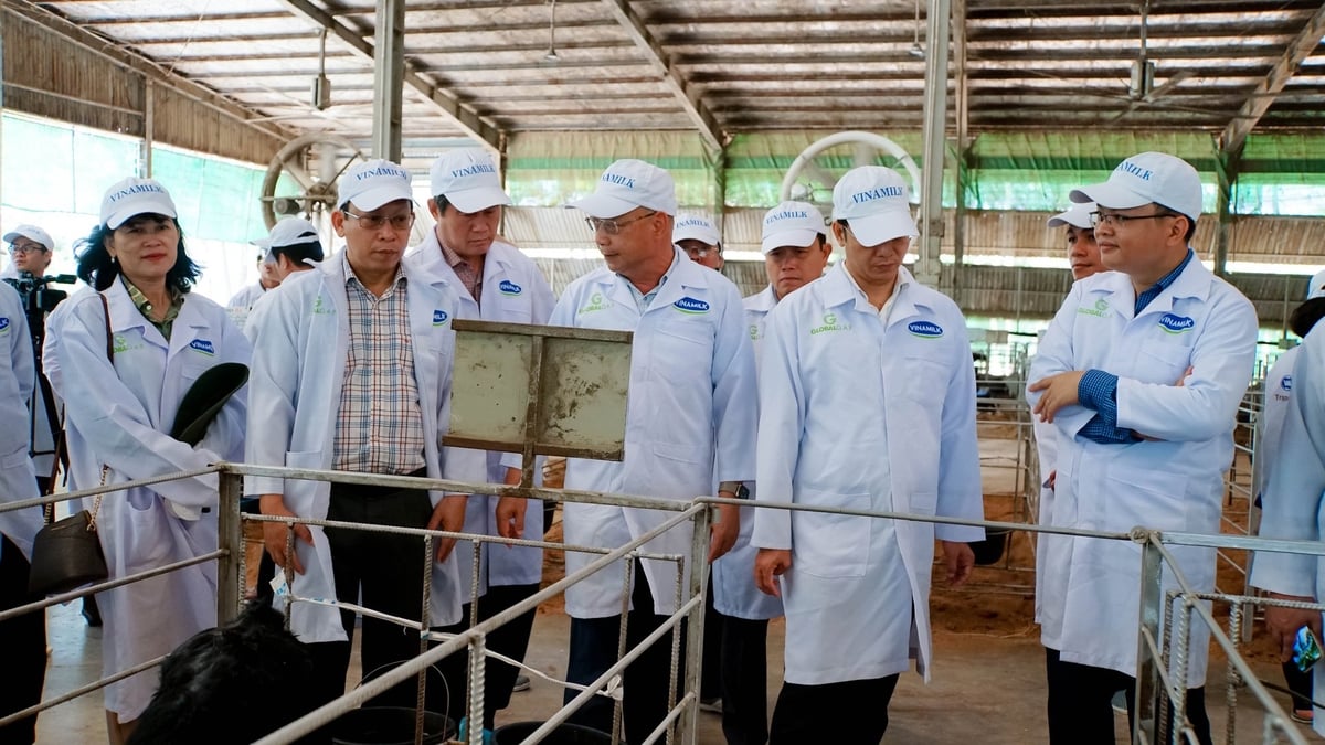 Đoàn lãnh đạo Sở Nông nghiệp và Môi trường tỉnh Tây Ninh tham quan Green Farm. Ảnh: Trần Trung. Đoàn lãnh đạo Sở Nông nghiệp và Môi trường tỉnh Tây Ninh tham quan Green Farm. Ảnh: Trần Trung.