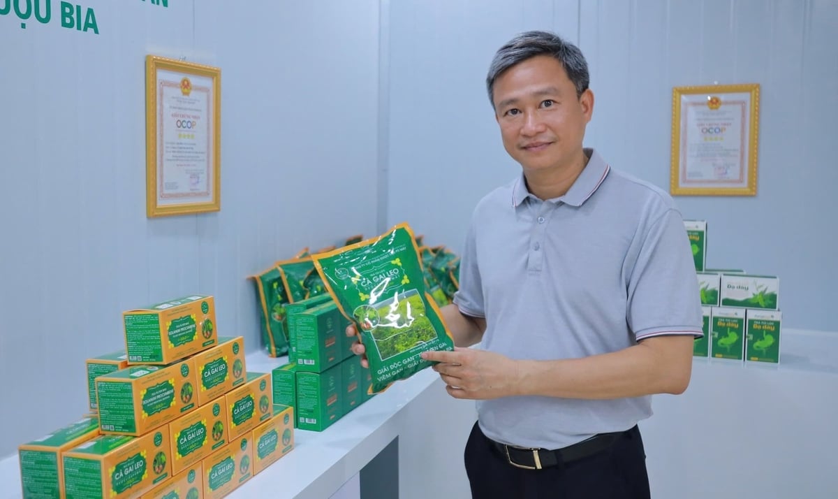Giám đốc Phan Xuân Diện khẳng định 'sản xuất ra những sản phẩm dược liệu chất lượng nhất, an toàn nhất' là quan điểm xuyên suốt, nhất quán của công ty. Ảnh: Việt Khánh. Giám đốc Phan Xuân Diện khẳng định 'sản xuất ra những sản phẩm dược liệu chất lượng nhất, an toàn nhất' là quan điểm xuyên suốt, nhất quán của công ty. Ảnh: Việt Khánh.