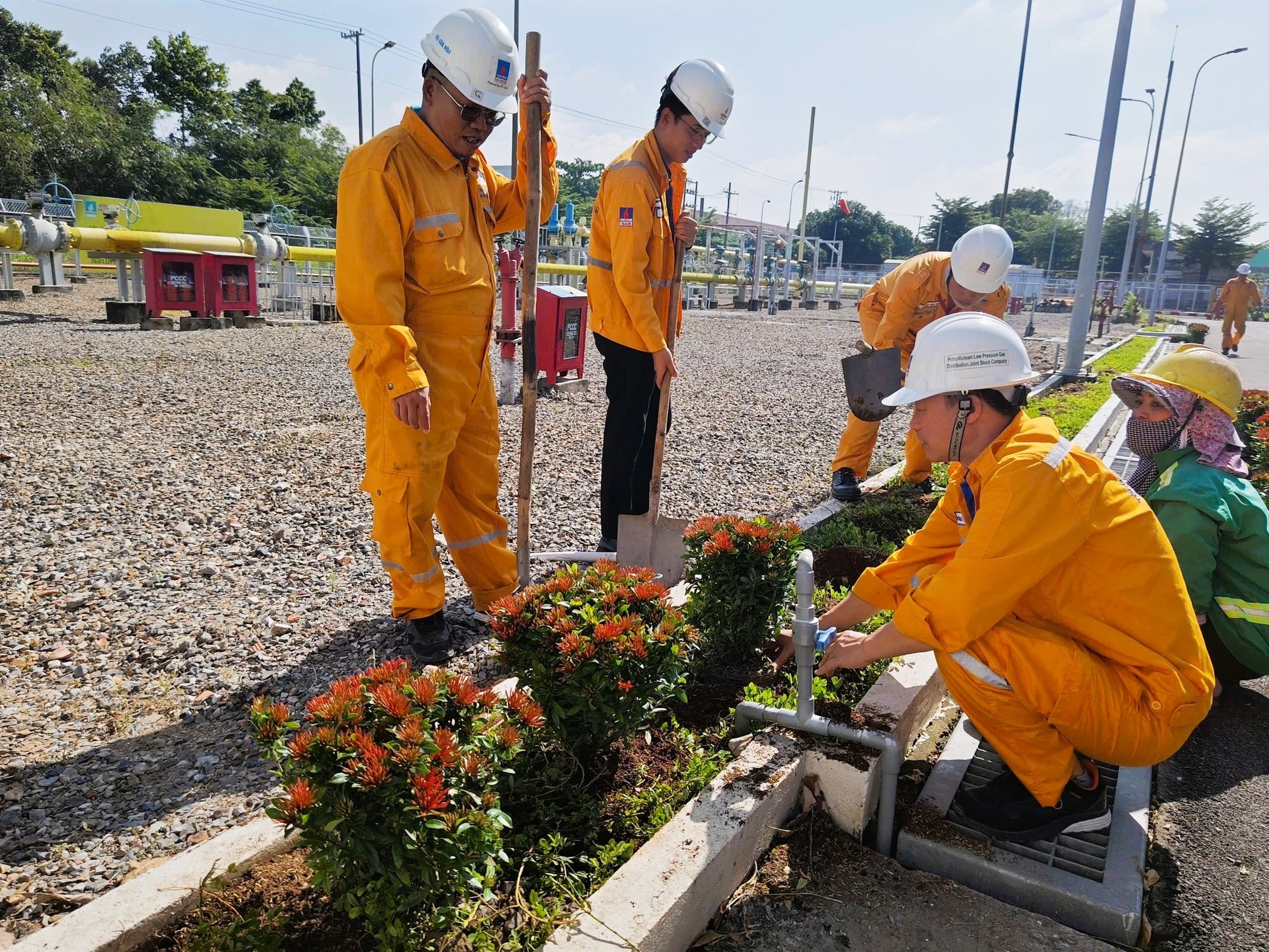 Xí nghiệp Phân phối Khí Thấp áp Vũng Tàu (XNVT) tích cực trồng và chăm sóc cây xanh, tạo cảnh quan xanh - sạch - đẹp. Ảnh: PV. Xí nghiệp Phân phối Khí Thấp áp Vũng Tàu (XNVT) tích cực trồng và chăm sóc cây xanh, tạo cảnh quan xanh - sạch - đẹp. Ảnh: PV.