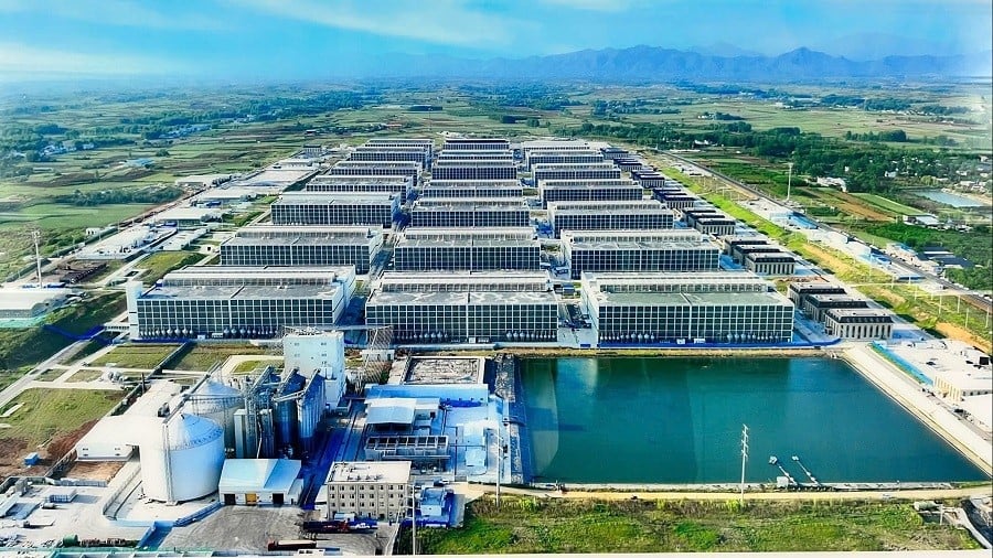 Mô hình thực tế đã được Muyuan triển khai thành công tại Trung Quốc. Mô hình thực tế đã được Muyuan triển khai thành công tại Trung Quốc.