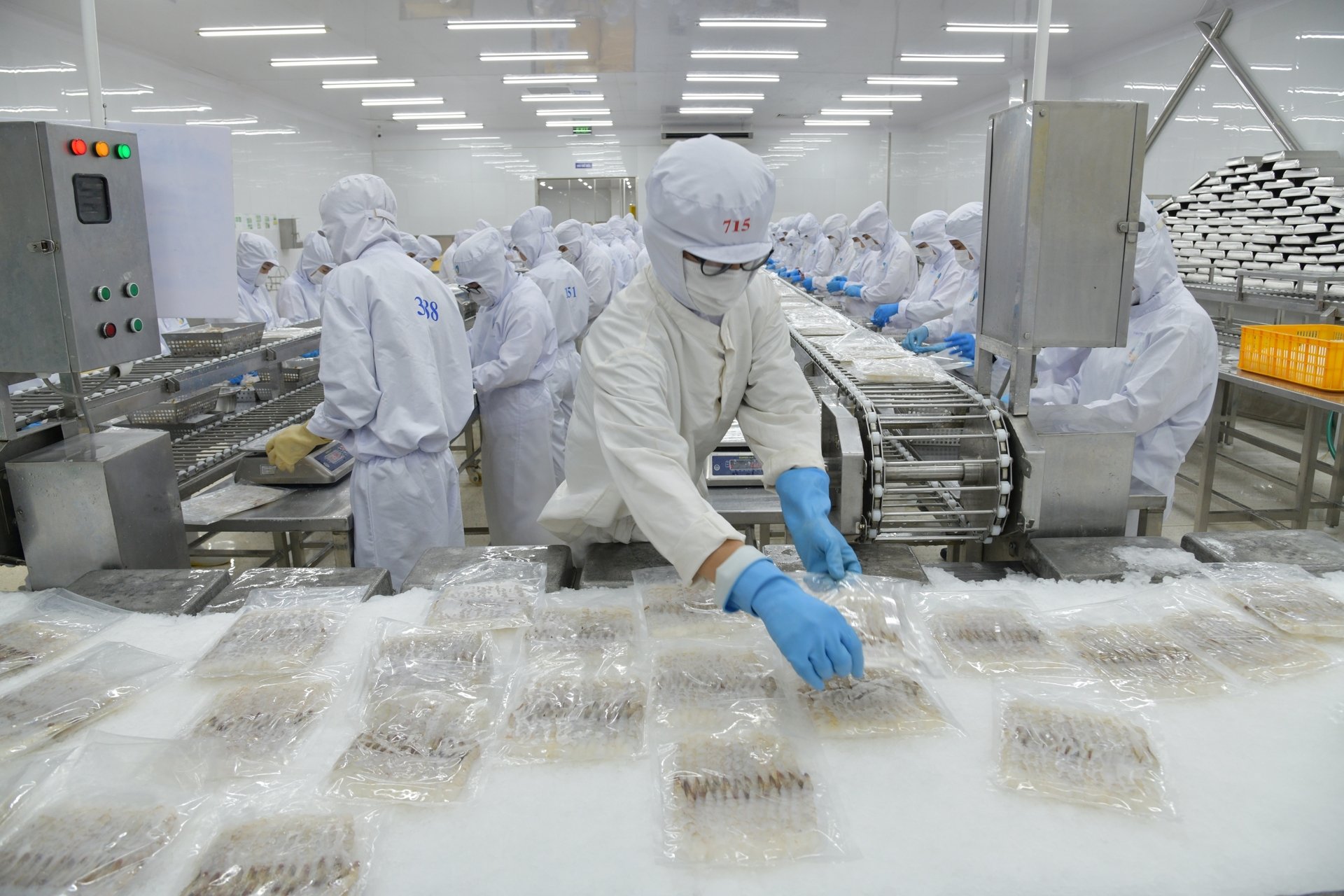 Tính đến hết tháng 6/2025, kim ngạch xuất khẩu tôm của Việt Nam đạt 2,07 tỷ USD, tăng 26% so với cùng kỳ năm ngoái. Ảnh: Hồng Thắm. Tính đến hết tháng 6/2025, kim ngạch xuất khẩu tôm của Việt Nam đạt 2,07 tỷ USD, tăng 26% so với cùng kỳ năm ngoái. Ảnh: Hồng Thắm.