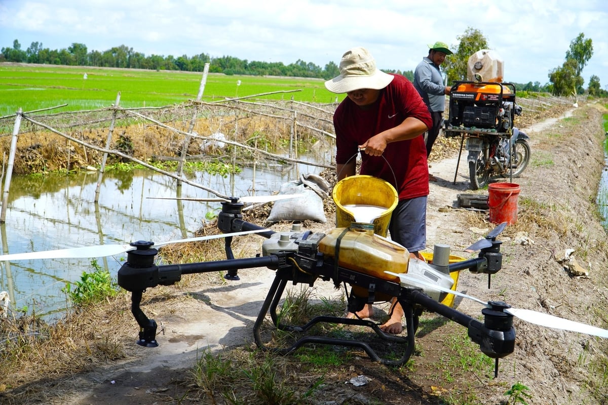 Hiện nay, các địa phương ĐBSCL đang tiến hành sắp xếp lại các trạm chuyên môn ngành dọc nông nghiệp, vấn đề thực tiễn hoạt động ở cơ sở cần được tính toán. Ảnh: Kim Anh. Hiện nay, các địa phương ĐBSCL đang tiến hành sắp xếp lại các trạm chuyên môn ngành dọc nông nghiệp, vấn đề thực tiễn hoạt động ở cơ sở cần được tính toán. Ảnh: Kim Anh.