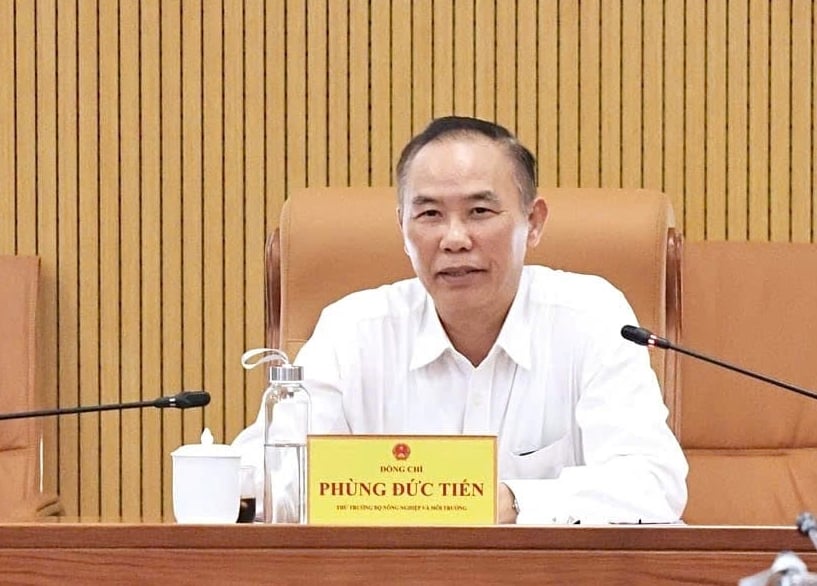 Thứ trưởng Phùng Đức Tiến phát biểu chỉ đạo cuộc họp. Ảnh: Nguyễn Thủy. Thứ trưởng Phùng Đức Tiến phát biểu chỉ đạo cuộc họp. Ảnh: Nguyễn Thủy.