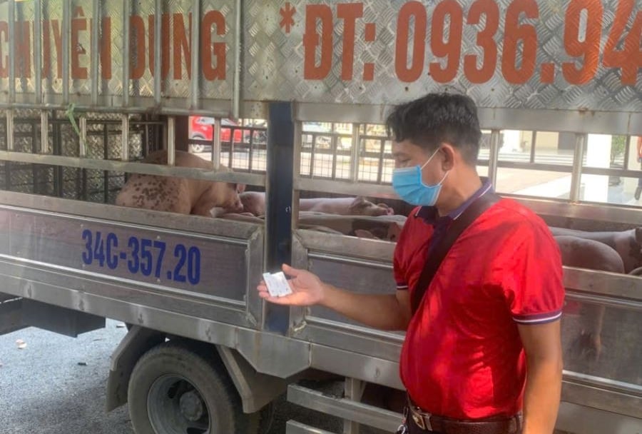 Lực lượng chức năng kiểm tra, phát hiện xe vận chuyển lợn nhiễm bệnh đi tiêu thụ. Ảnh: Công an xã Tam Dương Bắc. Lực lượng chức năng kiểm tra, phát hiện xe vận chuyển lợn nhiễm bệnh đi tiêu thụ. Ảnh: Công an xã Tam Dương Bắc.