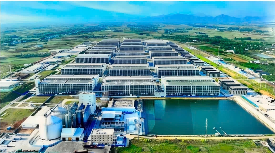 Tổ hợp trại nuôi heo 6 tầng khép kín, tích hợp công nghệ cao dự kiến đặt tại Tân Châu, Tây Ninh. Ảnh: BAF. Tổ hợp trại nuôi heo 6 tầng khép kín, tích hợp công nghệ cao dự kiến đặt tại Tân Châu, Tây Ninh. Ảnh: BAF.