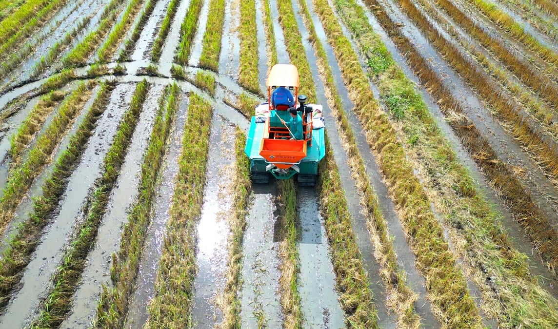 Ứng dụng khoa học công nghệ trong canh tác nông nghiệp là một phần quan trọng hướng đến quản lý đất đai bền vững tại ĐBSCL. Ảnh: Lê Hoàng Vũ. Ứng dụng khoa học công nghệ trong canh tác nông nghiệp là một phần quan trọng hướng đến quản lý đất đai bền vững tại ĐBSCL. Ảnh: Lê Hoàng Vũ.
