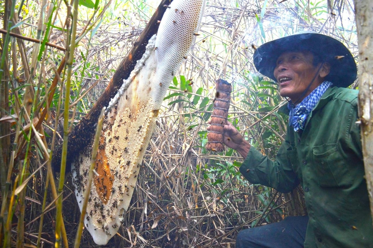 Lâm sản ngoài gỗ sẽ mang lại giá trị kinh tế lớn cho người dân nếu được khai thác và phát triển bài bàn, bền vững. Ảnh: Kim Anh. Lâm sản ngoài gỗ sẽ mang lại giá trị kinh tế lớn cho người dân nếu được khai thác và phát triển bài bàn, bền vững. Ảnh: Kim Anh.