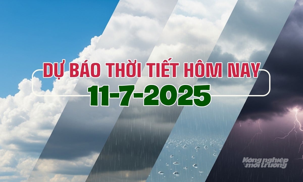 Tin tức thời tiết hôm nay 11/7/2025 trong cả nước Tin tức thời tiết hôm nay 11/7/2025 trong cả nước