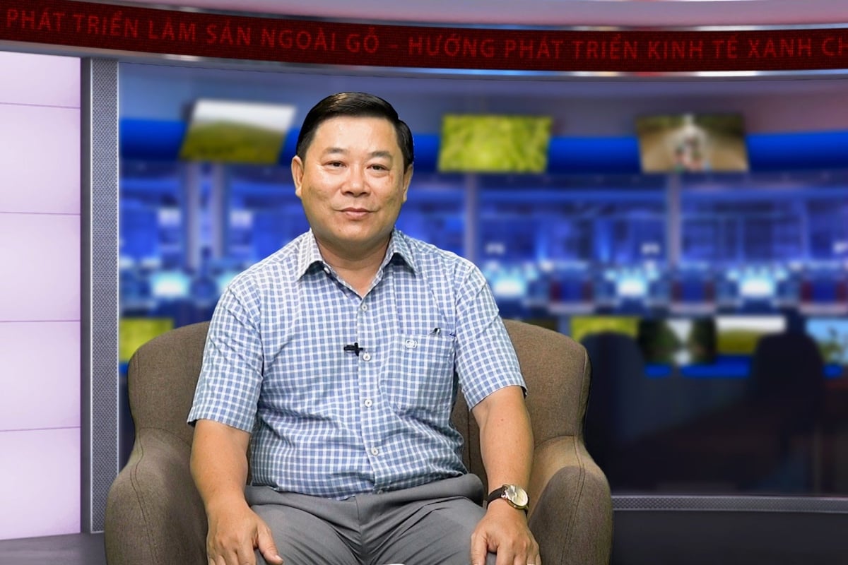 PGS.TS Ngô Thanh Phong, Trưởng khoa, Khoa học Tự nhiên (Đại học Cần Thơ) chia sẻ tại chương trình tọa đàm 'Phát triển lâm sản ngoài gỗ – Hướng đi xanh cho ĐBSCL', do Báo Nông nghiệp và Môi trường tổ chức. Ảnh: Văn Vũ. PGS.TS Ngô Thanh Phong, Trưởng khoa, Khoa học Tự nhiên (Đại học Cần Thơ) chia sẻ tại chương trình tọa đàm 'Phát triển lâm sản ngoài gỗ – Hướng đi xanh cho ĐBSCL', do Báo Nông nghiệp và Môi trường tổ chức. Ảnh: Văn Vũ.