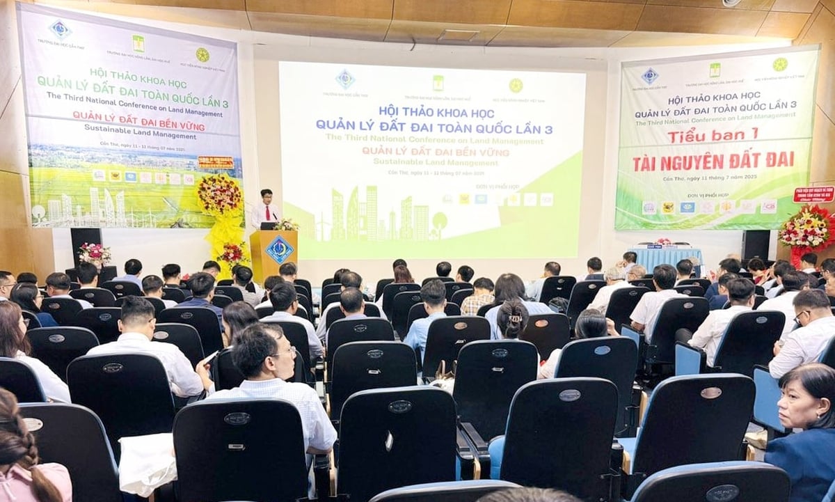 Các đại biểu tham dự Hội thảo Khoa học Quản lý Đất đai toàn quốc lần thứ III năm 2025 diễn ra tại Trường Đại học Cần Thơ. Ảnh: Lê Hoàng Vũ. Các đại biểu tham dự Hội thảo Khoa học Quản lý Đất đai toàn quốc lần thứ III năm 2025 diễn ra tại Trường Đại học Cần Thơ. Ảnh: Lê Hoàng Vũ.