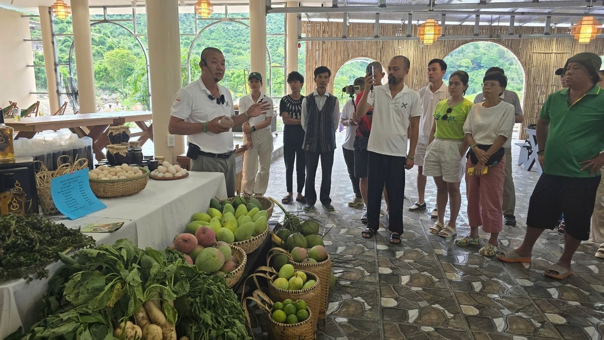 Du khách tham quan và mua sản phẩm nông nghiệp sản xuất tại Sản Việt Farm. Ảnh: KS.
