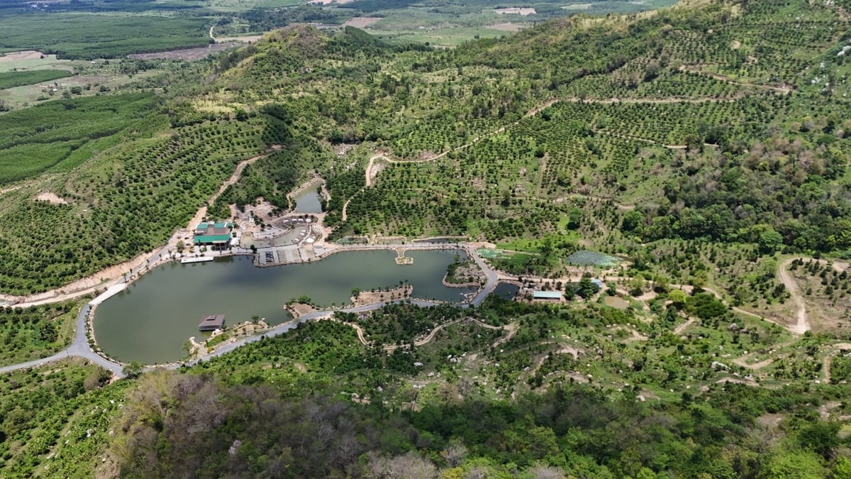Toàn cảnh Sản Việt Farm - trang trại nông nghiệp hữu cơ tuần hoàn kết hợp du lịch. Ảnh: KS.