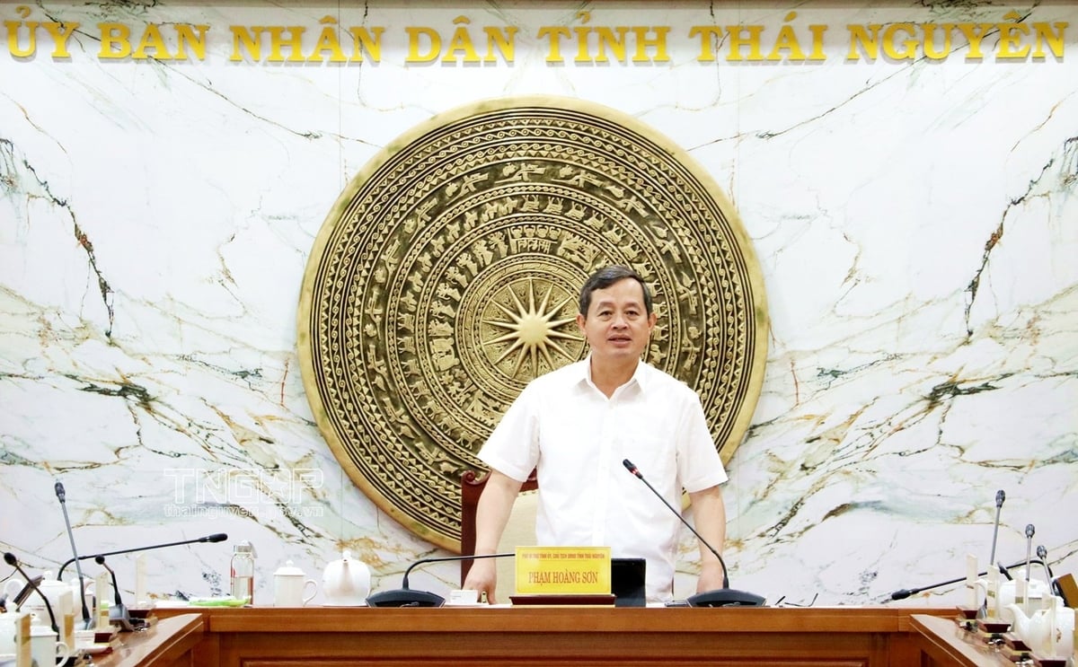 Ông Phạm Hoàng Sơn - Phó Bí thư Tỉnh ủy, Chủ tịch UBND tỉnh Thái Nguyên phát biểu tại cuộc họp, ngày 11/7. Ảnh: TNGOP. Ông Phạm Hoàng Sơn - Phó Bí thư Tỉnh ủy, Chủ tịch UBND tỉnh Thái Nguyên phát biểu tại cuộc họp, ngày 11/7. Ảnh: TNGOP.
