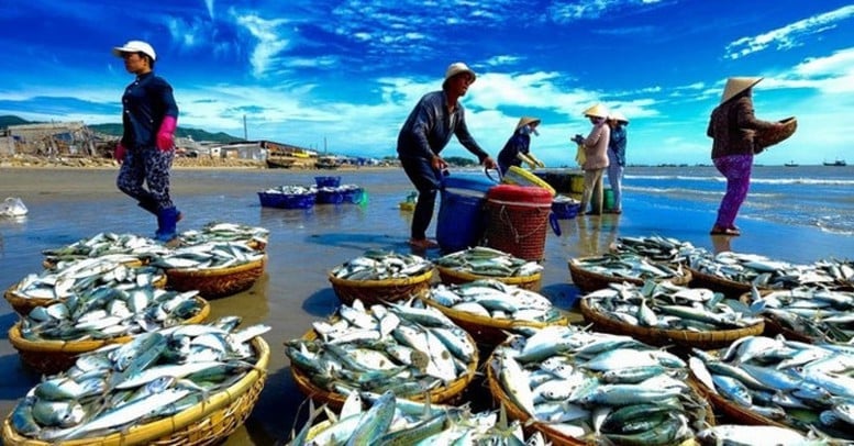 Nguồn lợi thủy sản. Ảnh minh họa. Nguồn lợi thủy sản. Ảnh minh họa.