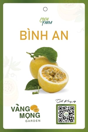 Cây được đặt tên theo khách hàng 'Bình An' Cây được đặt tên theo khách hàng 'Bình An'