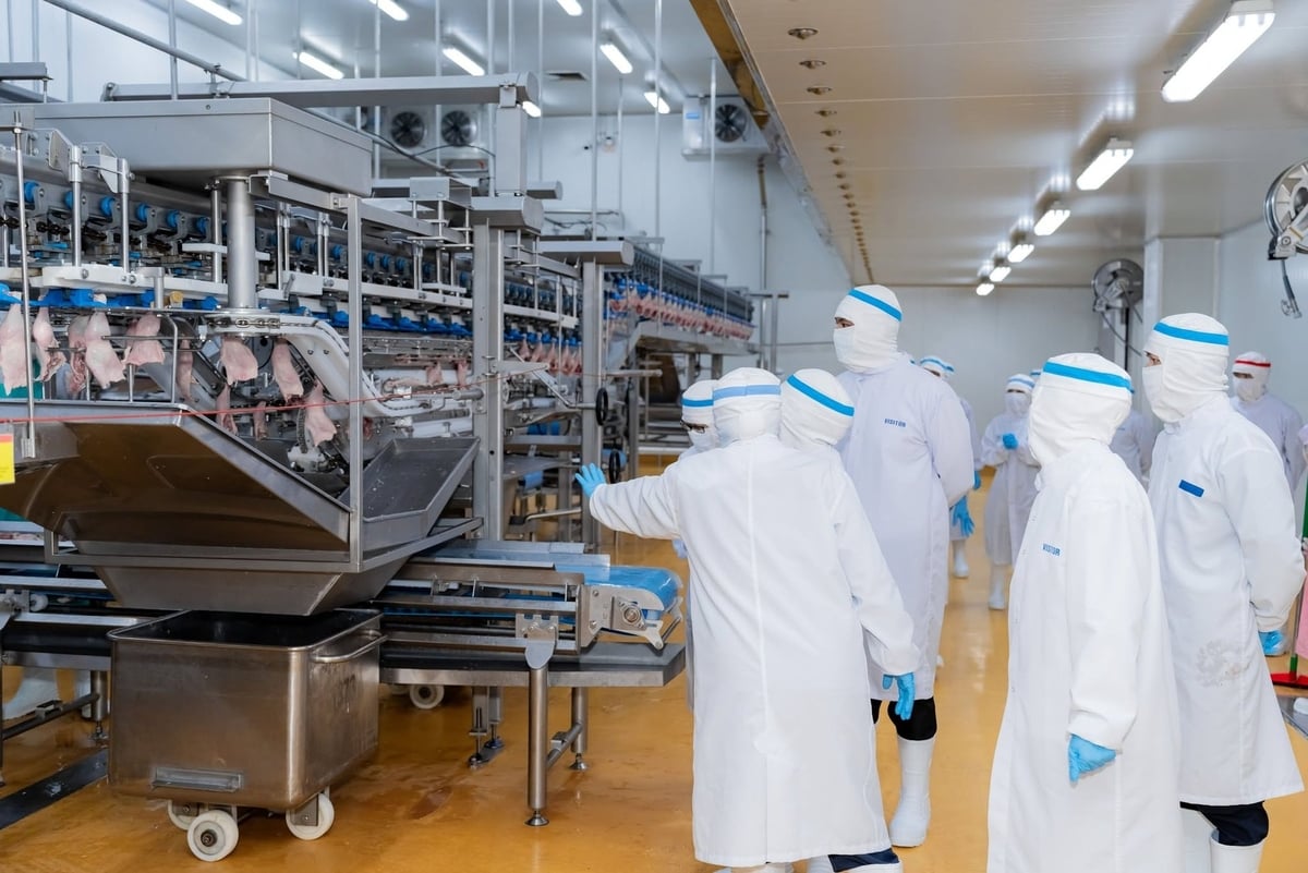 Các đối tác của CPV Food Bình Phước tham quan, kiểm tra quy trình vận hành giết, mổ gia cầm tự động hóa tại nhà máy của công ty. Ảnh. Trần Trung. Các đối tác của CPV Food Bình Phước tham quan, kiểm tra quy trình vận hành giết, mổ gia cầm tự động hóa tại nhà máy của công ty. Ảnh. Trần Trung.