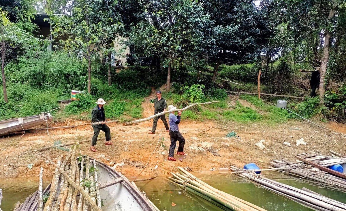 Lực lượng bảo vệ rừng phối hợp với người dân địa phương làm chuồng. Công việc vây ráp, đẩy đuổi, bắt giữ toàn bộ các đàn trâu ở lòng hồ Bình Điền dự kiến thực hiện từ nay đến trước 30/9. Ảnh: V.D. Lực lượng bảo vệ rừng phối hợp với người dân địa phương làm chuồng. Công việc vây ráp, đẩy đuổi, bắt giữ toàn bộ các đàn trâu ở lòng hồ Bình Điền dự kiến thực hiện từ nay đến trước 30/9. Ảnh: V.D.