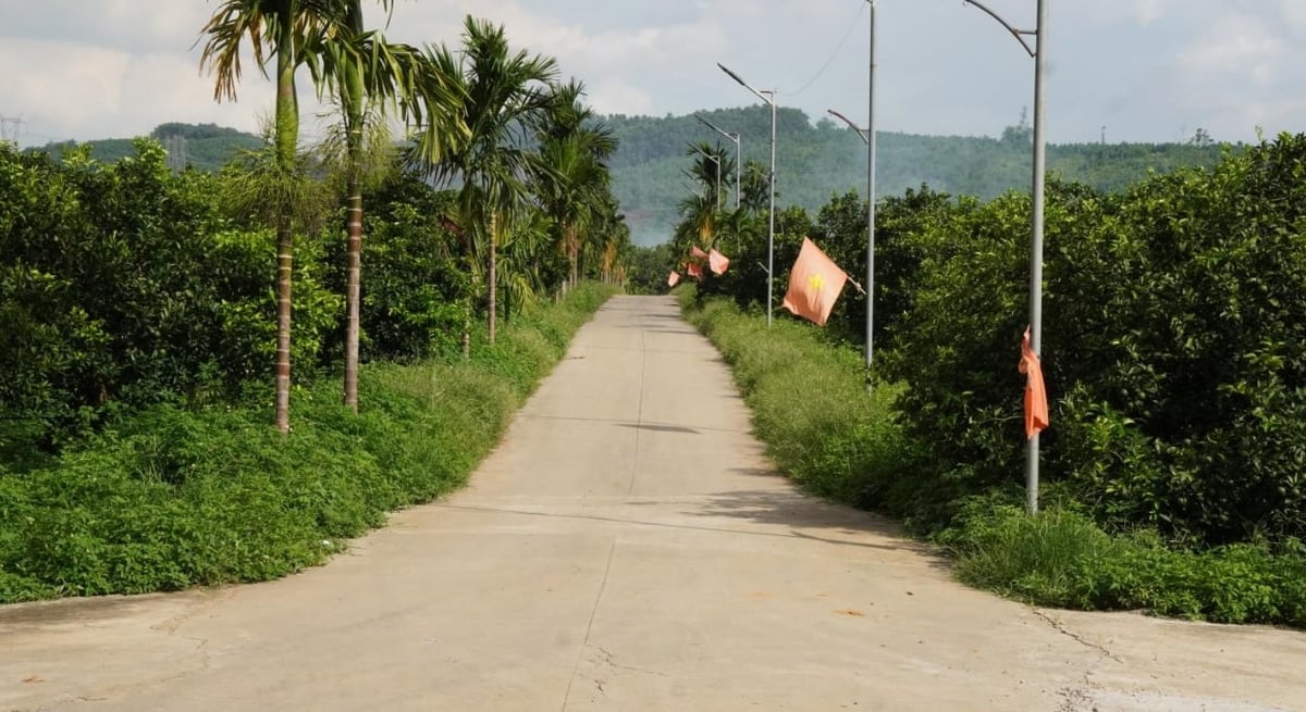 Nông trại cam của anh Chung không khác gì khu du lịch sinh thái. Ảnh: Quốc Toản.