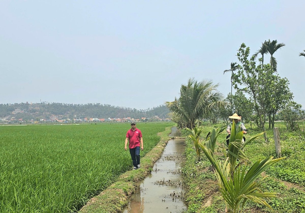 Toàn bộ hệ thống kênh mương thủy lợi này do anh Hùng tự đầu tư, nguồn lực hạn chế nên chỉ làm được bờ đất, chức năng tưới và tiêu hạn chế. Ảnh: Đinh Mười. Toàn bộ hệ thống kênh mương thủy lợi này do anh Hùng tự đầu tư, nguồn lực hạn chế nên chỉ làm được bờ đất, chức năng tưới và tiêu hạn chế. Ảnh: Đinh Mười.