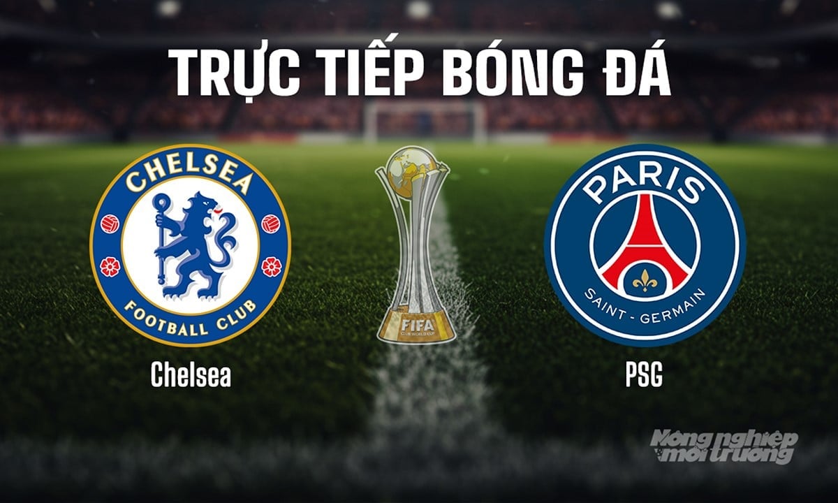 Trực tiếp bóng đá giải FIFA Club World Cup 2025 giữa Chelsea vs PSG ngày 14/7/2025 Trực tiếp bóng đá giải FIFA Club World Cup 2025 giữa Chelsea vs PSG ngày 14/7/2025