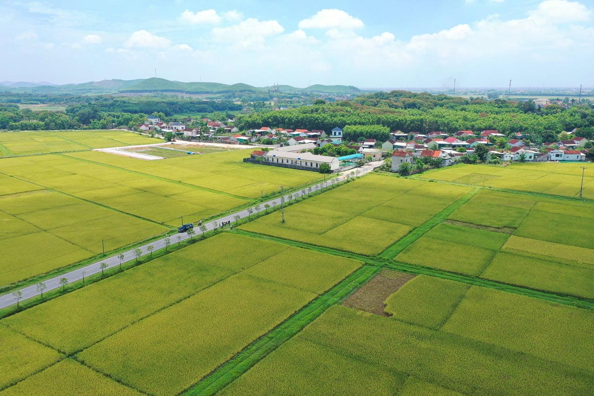 Bộ Tài chính đề xuất hai phương án tính tiền sử dụng đất đối với hộ gia đình, cá nhân chuyển mục đích sử dụng từ đất nông nghiệp sang đất ở. Ảnh: Tùng Đinh. Bộ Tài chính đề xuất hai phương án tính tiền sử dụng đất đối với hộ gia đình, cá nhân chuyển mục đích sử dụng từ đất nông nghiệp sang đất ở. Ảnh: Tùng Đinh.