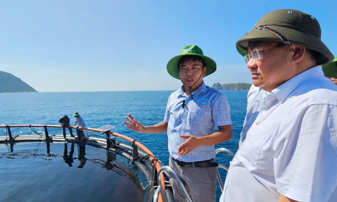 Ông Trịnh Minh Hoàng, Phó Chủ tịch UBND tỉnh Khánh Hòa, nghe đơn vị cung cấp lồng nuôi giới thiệu lồng nuôi được thiết kế chắc chắn, phù hợp vùng nuôi xa bờ. Ảnh: Kim Sơ. Ông Trịnh Minh Hoàng, Phó Chủ tịch UBND tỉnh Khánh Hòa, nghe đơn vị cung cấp lồng nuôi giới thiệu lồng nuôi được thiết kế chắc chắn, phù hợp vùng nuôi xa bờ. Ảnh: Kim Sơ.