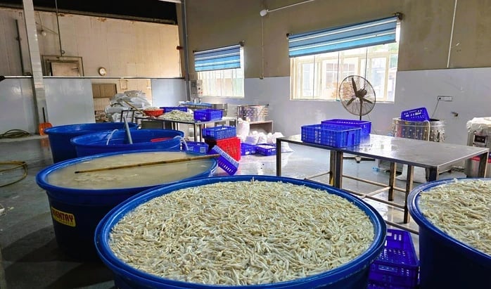 Chân gà ngâm hóa chất tẩy trắng được lực lượng chức năng bắt giữ. Ảnh: Công an tỉnh Thanh Hóa. Chân gà ngâm hóa chất tẩy trắng được lực lượng chức năng bắt giữ. Ảnh: Công an tỉnh Thanh Hóa.
