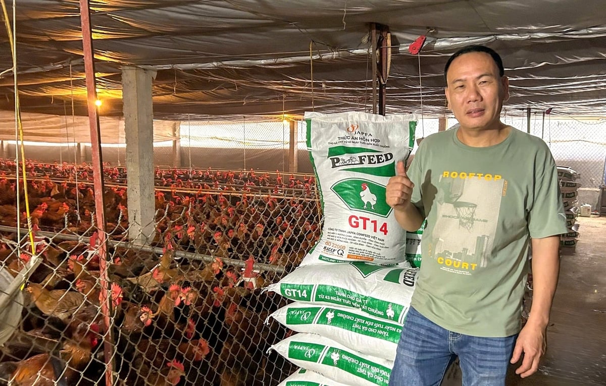 Anh Nguyễn Xuân Ngọc tại xã Phú Mỹ, tỉnh Phú Thọ đã áp dụng mô hình an toàn sinh học vào trang trại gà quy mô 70.000 con và trang trại lợn hơn 500 con. Ảnh: Trung Nguyên. Anh Nguyễn Xuân Ngọc tại xã Phú Mỹ, tỉnh Phú Thọ đã áp dụng mô hình an toàn sinh học vào trang trại gà quy mô 70.000 con và trang trại lợn hơn 500 con. Ảnh: Trung Nguyên.