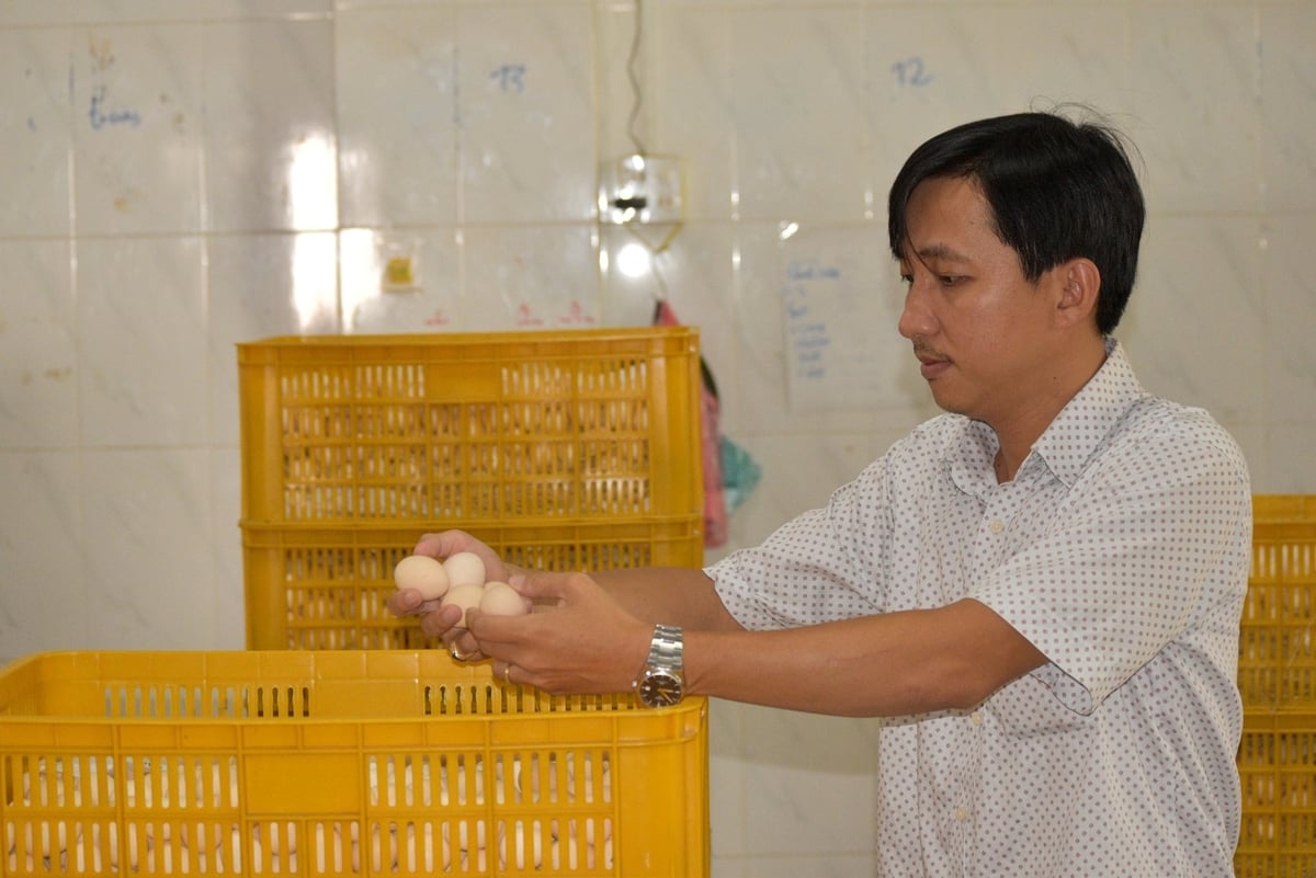 Ông Nguyễn Bảo Quốc cho biết, cần thực hiện an toàn sinh học để hạn chế dịch bệnh, nâng cao sức cạnh tranh cho sản phẩm. Ảnh: Minh Đảm. Ông Nguyễn Bảo Quốc cho biết, cần thực hiện an toàn sinh học để hạn chế dịch bệnh, nâng cao sức cạnh tranh cho sản phẩm. Ảnh: Minh Đảm.