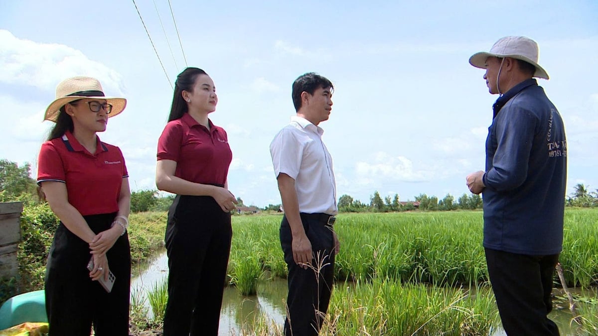 Sự đồng hành của Agribank Bắc Long An là điểm tựa tài chính quan trọng, cùng chính quyền và người dân trong hành trình phát triển kinh tế - xã hội. Ảnh: Minh Khương. Sự đồng hành của Agribank Bắc Long An là điểm tựa tài chính quan trọng, cùng chính quyền và người dân trong hành trình phát triển kinh tế - xã hội. Ảnh: Minh Khương.